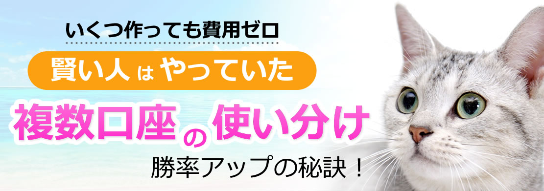 現役トレーダーが調査！FX口座 完全明快