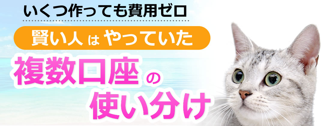 現役トレーダーが調査！FX口座 完全明快